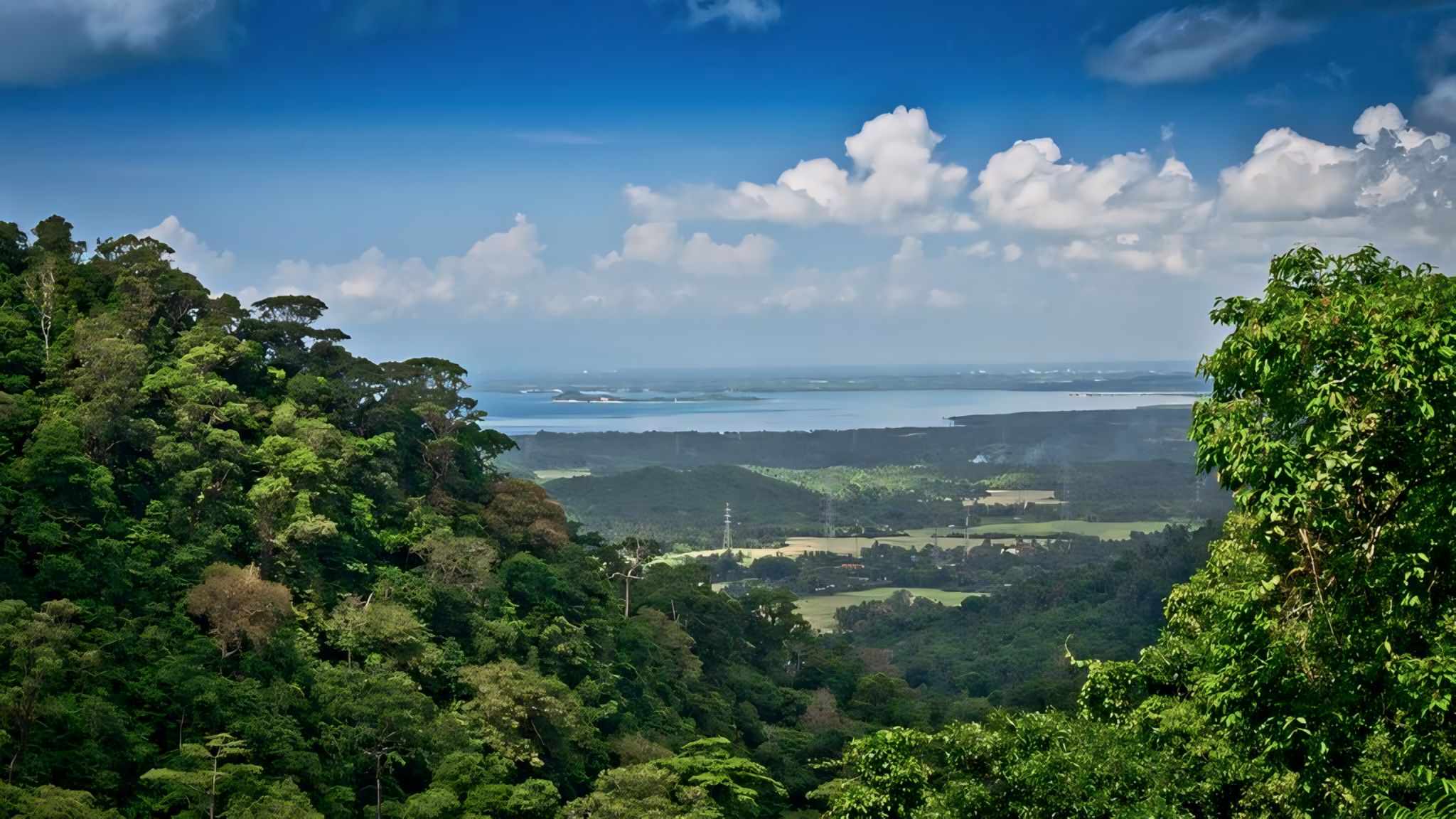 Quezon Landscape